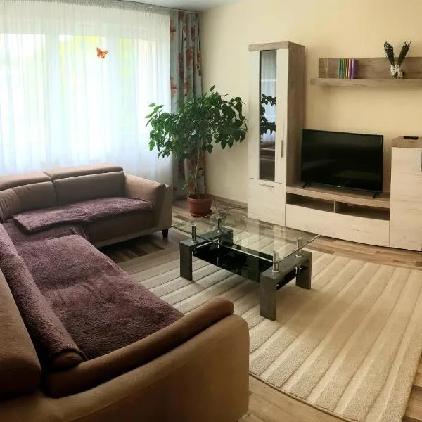 Orhidea Apartman, hotel u gradu Georgeni