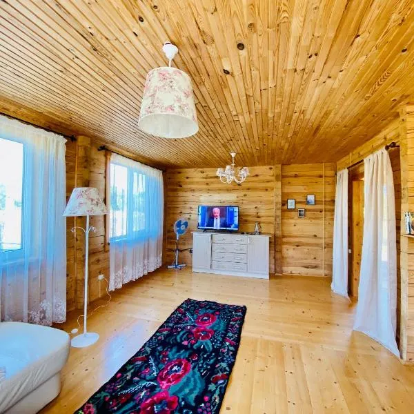 Eco house, hotel in Shatsk