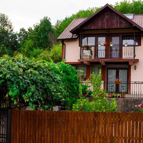 Casa NITU, hotel di Măngureni