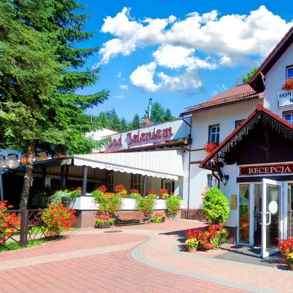 Hotel Pod Jeleniem, viešbutis mieste Świeradów-Zdrój