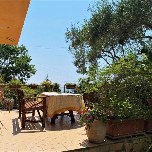 B&B dei Fiori, hotel v destinácii Praia a Mare