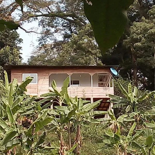 Casa de Andréa, hotell sihtkohas Santo António