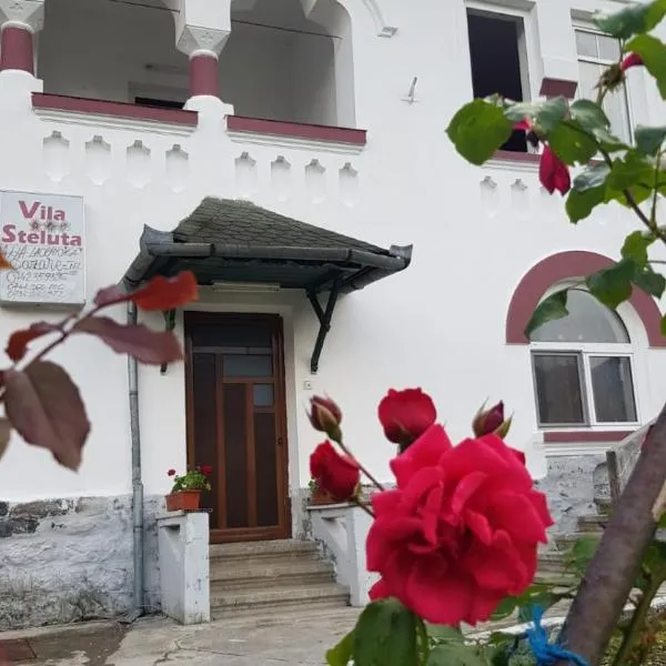 Vila Ana Lăcrămioara Concept, hotell i Căciulata