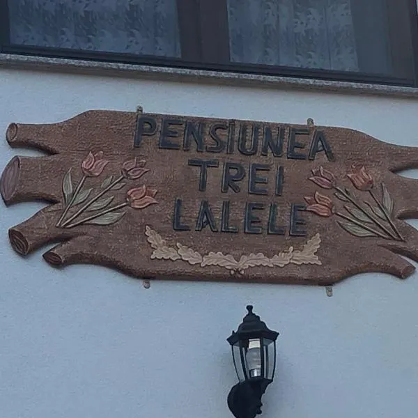 Pensiunea Trei Lalele, מלון בSăcel