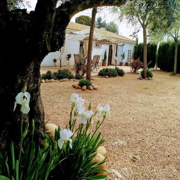 La Casa del Abuelo Jose, hotel di Marmolejo