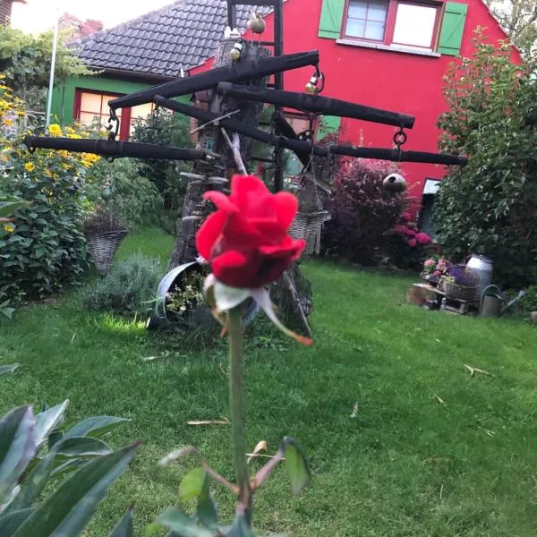 Zur Alten Filmkiste, hotel v destinaci Zingst