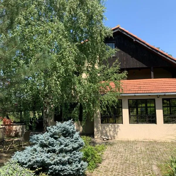 Vila Timok, hotel in Rgotina