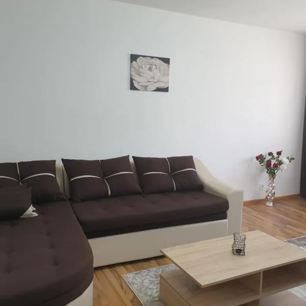 Cazare apartament cu 2 camere、ネホイウのホテル