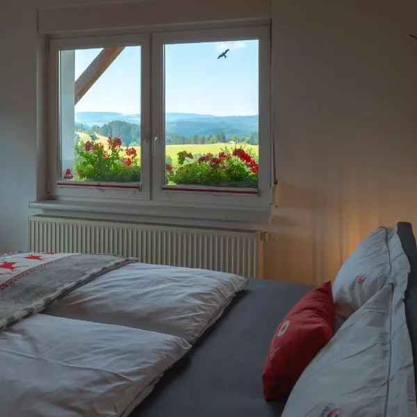 Ferienwohnung FUCHSBAU im EG des Ferienhauses Falkenhöhe, hotel in Großbreitenbach