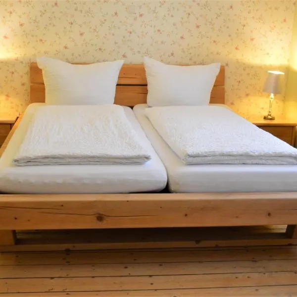Altstadtpension Hameln, hotel v destinaci Hameln