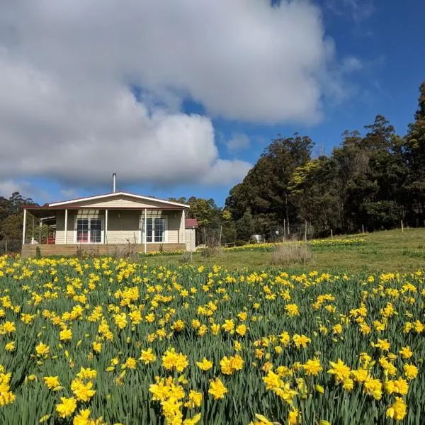 Mountain Blue Guest House, hotel in Breona