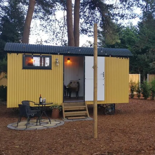 Forest Heath Shepherd's Huts, מלון ברינגווד