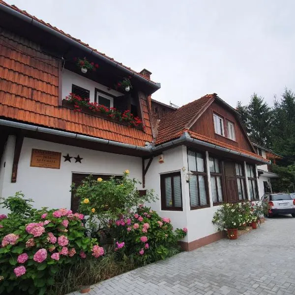 Pensiunea Schneider, hotel v destinaci Covasna