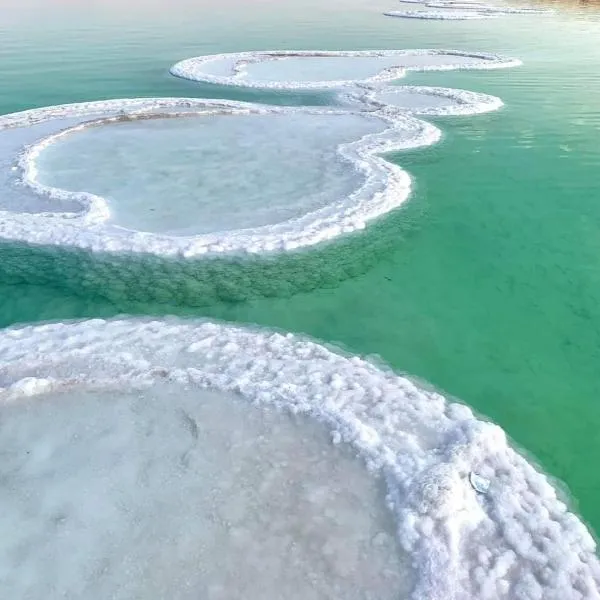 Nadia Hosting Dead Sea, hotel v destinaci Neve Zohar