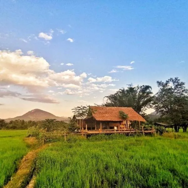Wanmai Farm Stay Muangkong วันใหม่ฟาร์มสเตย์ เมืองคอง เชียงดาว, ξενοδοχείο σε Ban Yang Nong Bua