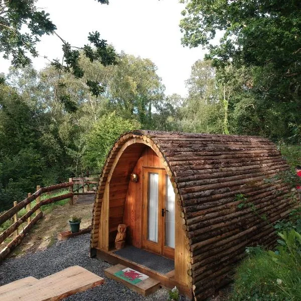 Owl Hut Cosy Ensuite Pod Snowdonia Coast Sleeps 2، فندق في دولغيلوو