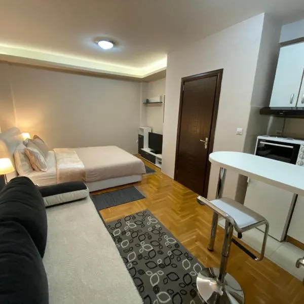 Studio SM Kragujevac, hotel in Kragujevac