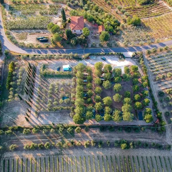 AGRiCAMPiNG POGGiO Ai PiNi WiNE CAMPiNG, hotel v destinaci Certaldo