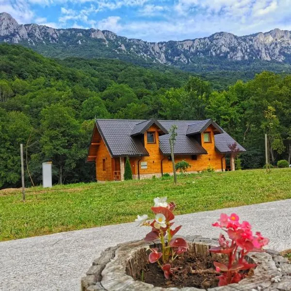 Vila Dolina Heroja 2, hotel em Tjentiste