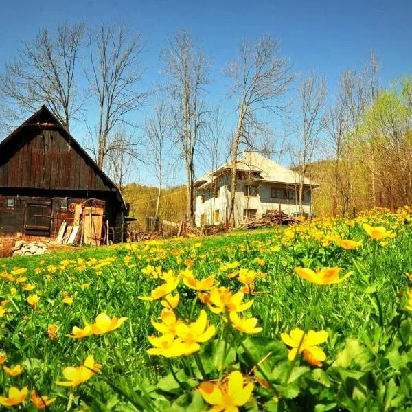 Agropensiunea Tarina, готель у місті Кимпень