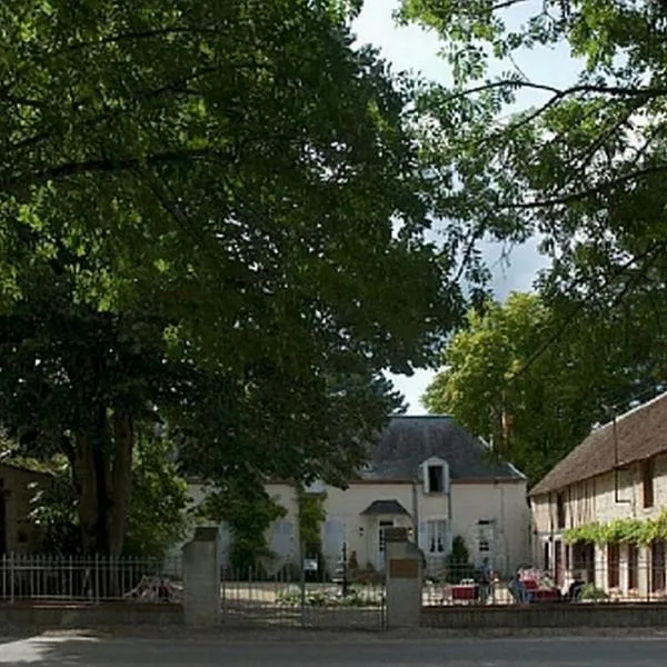 Theillay에 위치한 호텔 Château de la Frégeolière