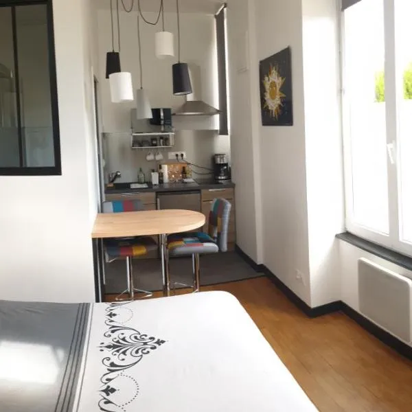Le studio des talents au coeur de Chaumont, hotel in Chaumont