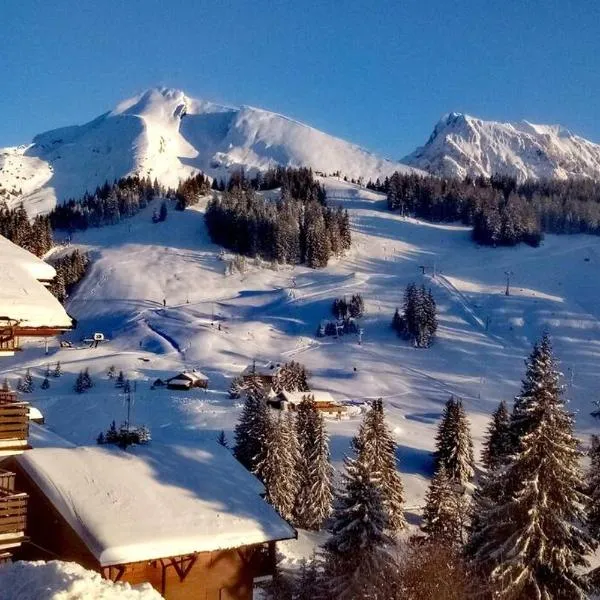 La Belle Etoile, hotel in Manigod