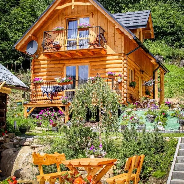 Markowe Domki, hotel v destinaci Szczawnica