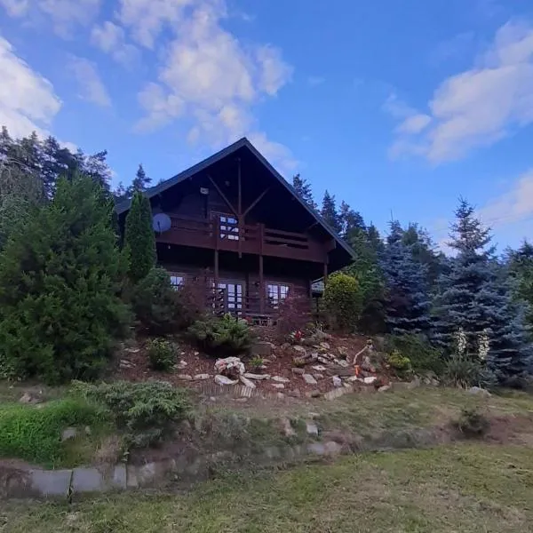 Dom Na Wzgórzu 479, The House on the hill – hotel w mieście Sułkowice