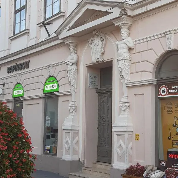 Főtér Apartman Baja, hotel en Baja