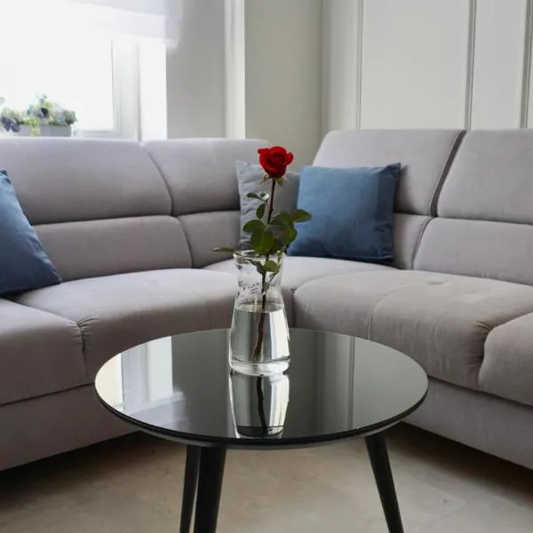 Apartament w samym sercu Opola 2, hotel in Opole