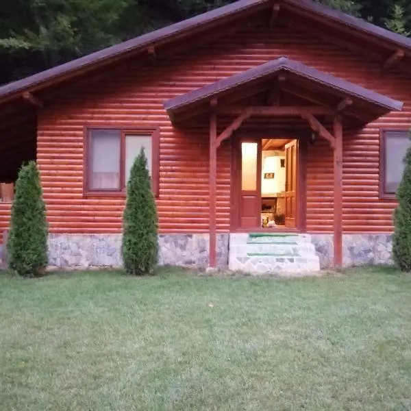 Cabana Dan, hotel in Şugag