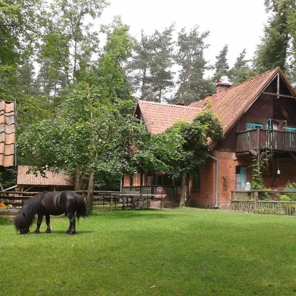 Leśniczówka Jednorożec, hotel in Lipowo Kurkowskie