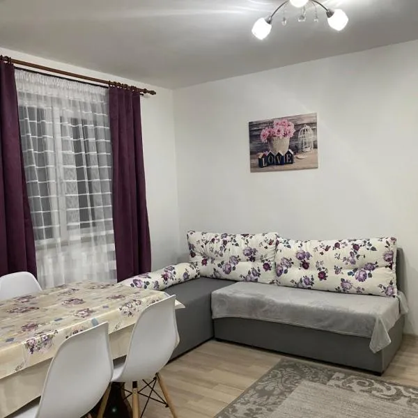 5 Residence Apartment, hotell i Cavnic