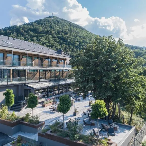 The Lynx Mountain Resort, hotel in Vévi