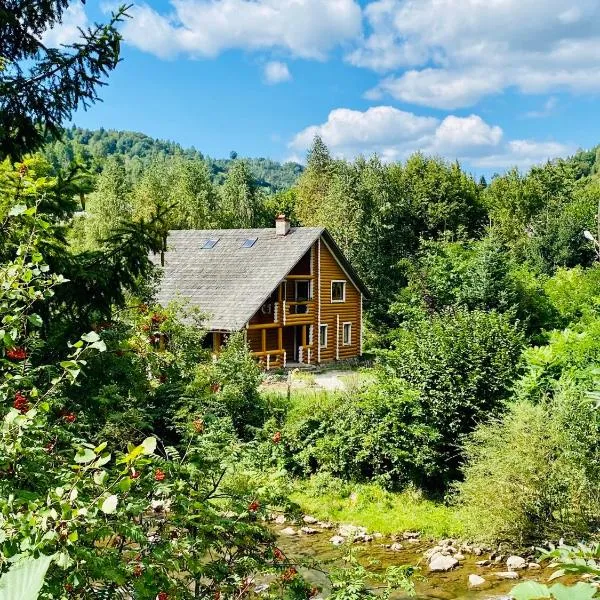 MySynevyr - будинок у серці Карпат, hotel v destinaci Siněvir