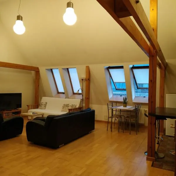 Sunlit Loft Apartment Riga, hotel v Rize