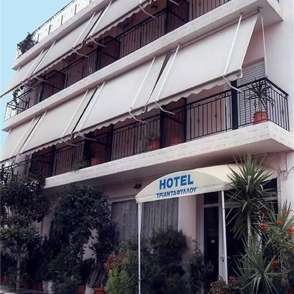 Hotel Triantafyllou, viešbutis mieste Liapáta