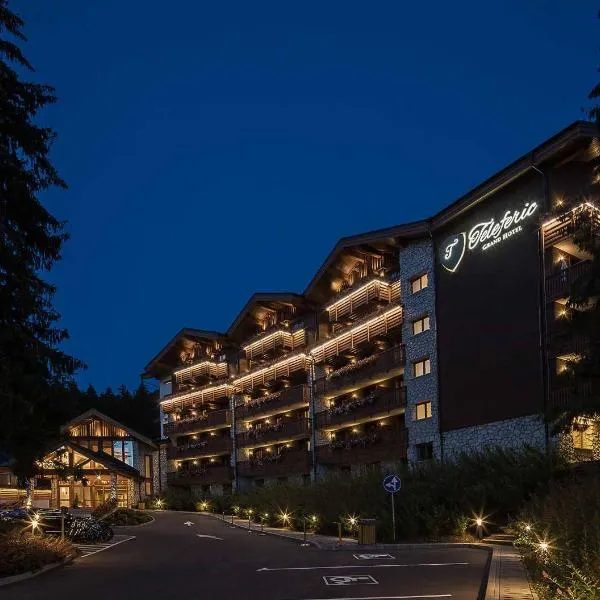 Teleferic Grand Hotel, hotell i Poiana Brasov