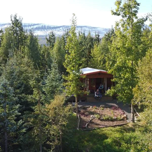 Bakkakot 1 - Cozy Cabins in the Woods, hotell i Hjalteyri