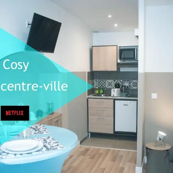 Les studios de l'hyper centre ville, hotel in Pau