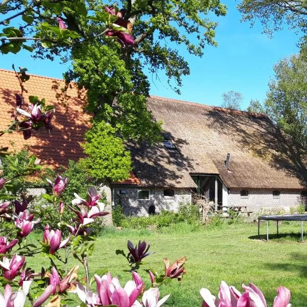 Sfeervolle vakantiewoning midden in het Drents-Friese Wold, ξενοδοχείο σε Wateren