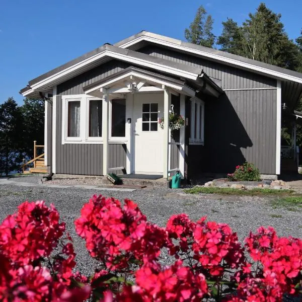 Hattapukki - Villa Himpula, hotel in Kuhmoinen