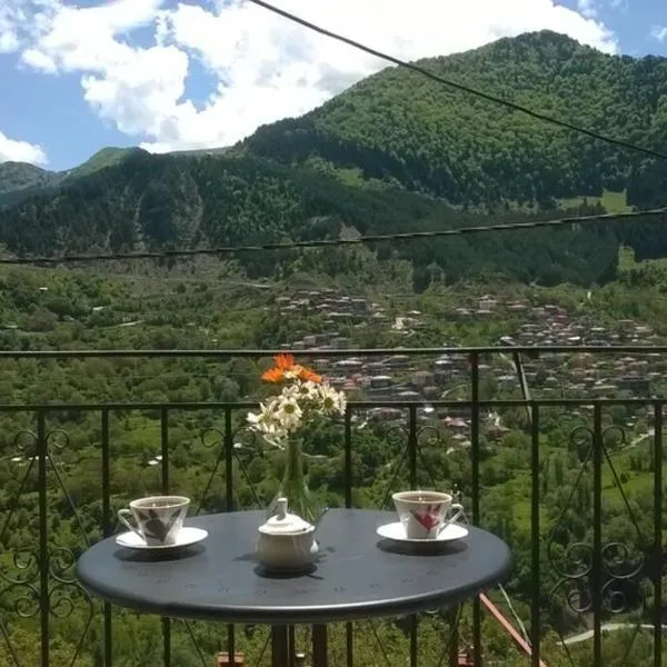 Baou House, hotel v destinaci Metsovo