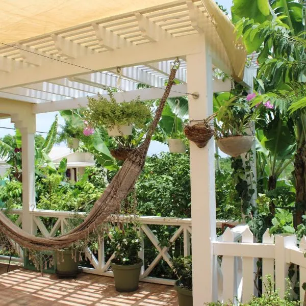 Tropical Garden Cottage Antigua, hotel v destinaci Saint Johnʼs