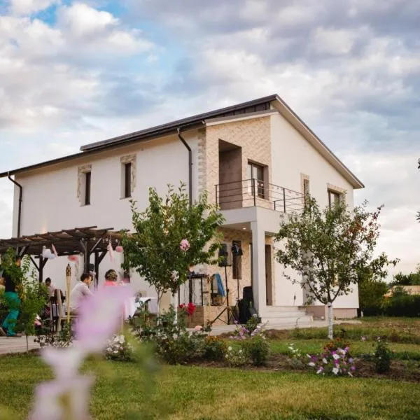 Pensiunea Diana, hotel in Stroe Beloescu