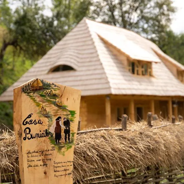 Casa Bunicilor Apuseni, khách sạn ở Geogel