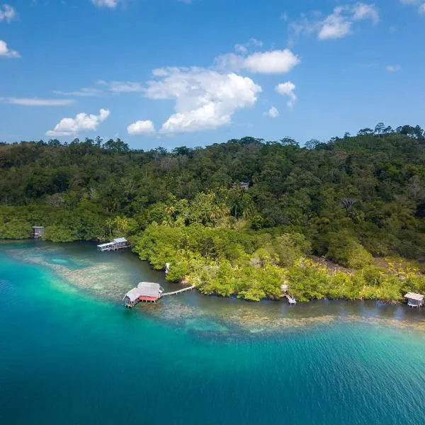 CocoVivo, hotel v destinaci Bocas del Toro