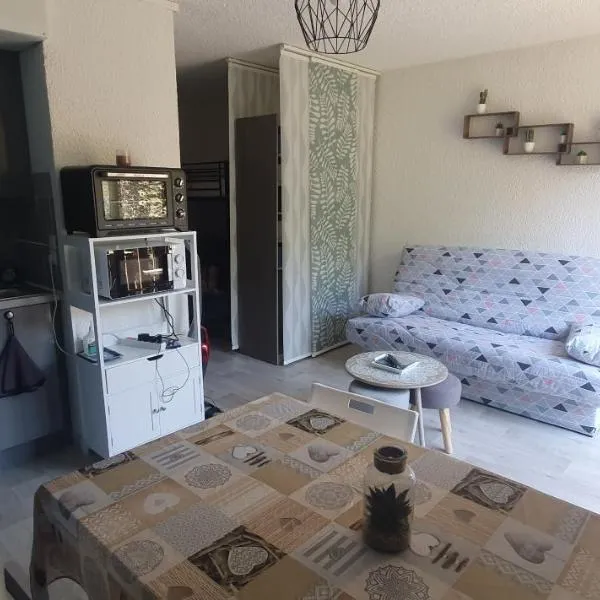 Studio 4 à 5 personnes Saint Jean Montclar, hotel v destinaci Montclar