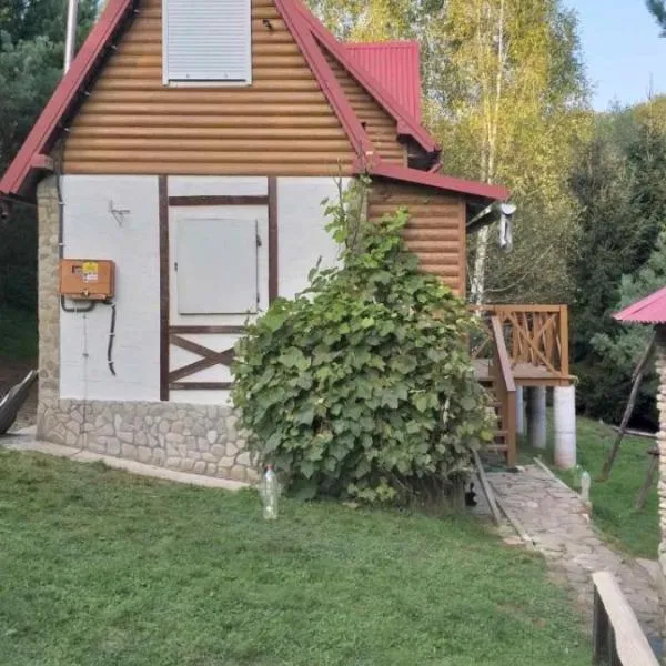 Садиба Сосновий Двір, hotel in Verkhneye Sinevidnoye